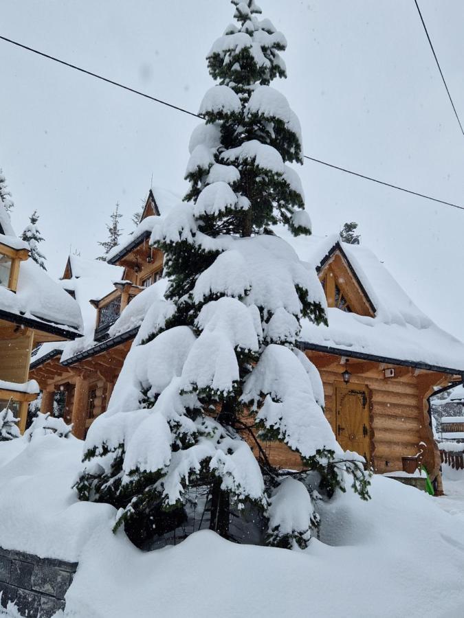 Przytulny Domek I Zakopane Buitenkant foto